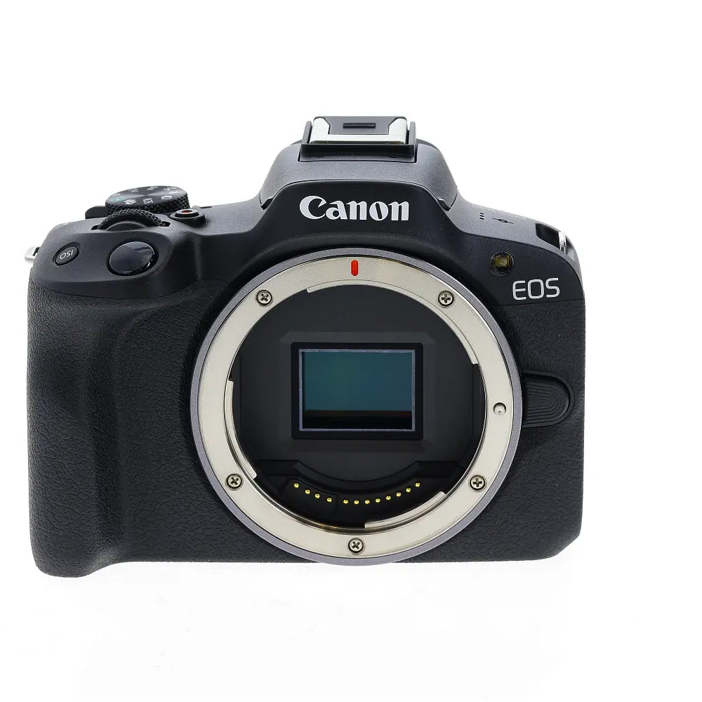 Canon EOS R8 Mirrorless Camera for Sale USA